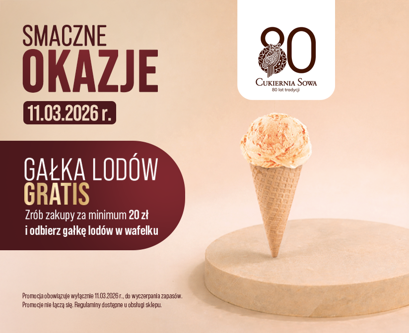 SOWA GRAFIKA SM OTWARCIE COPERNICUS-824x672-promocja GAŁKA LODÓW(1).png